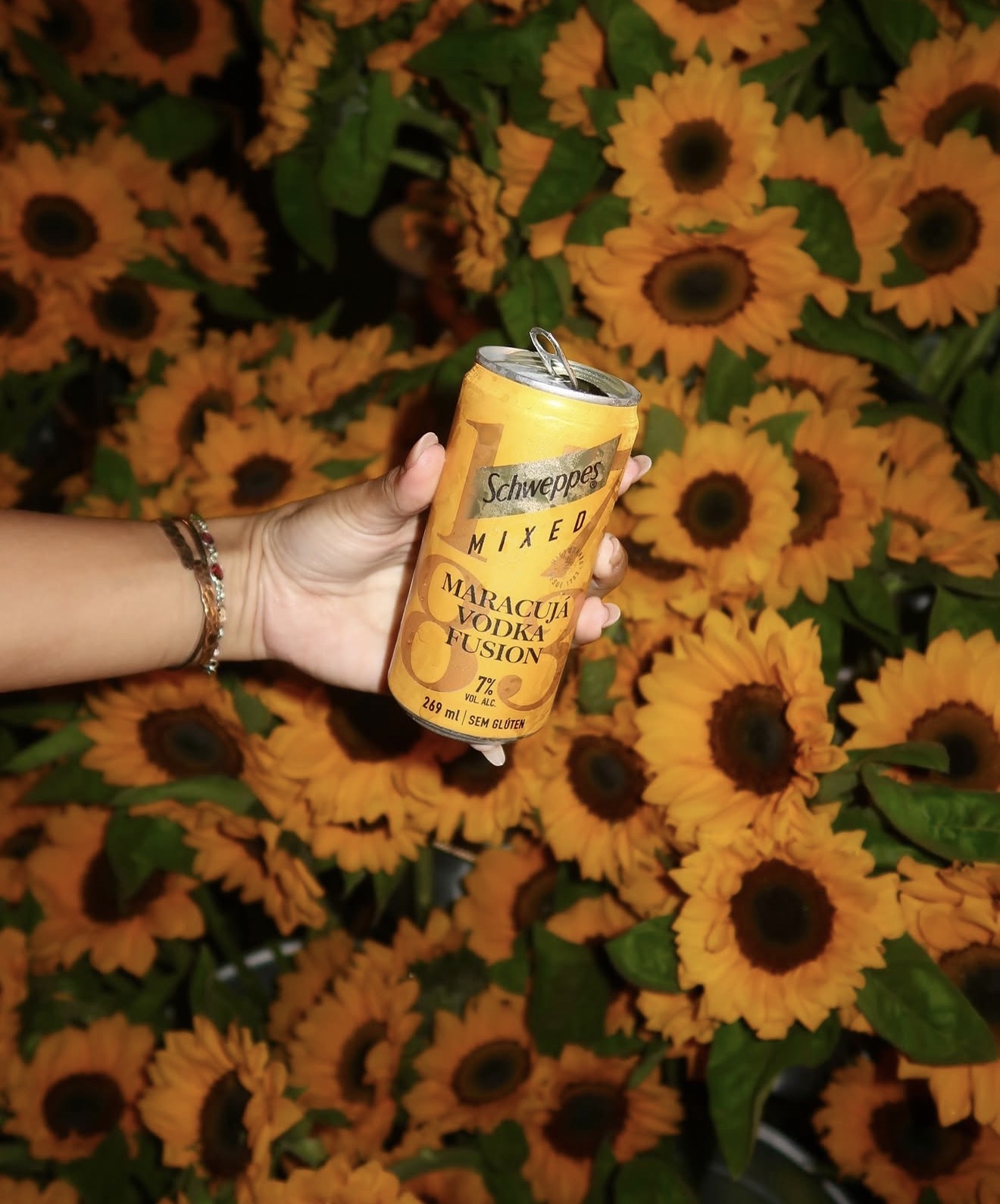 Referência de conteúdo 01 — Latinha Schweppes Mixed Maracujá Vodka Fusion em parede de girassóis